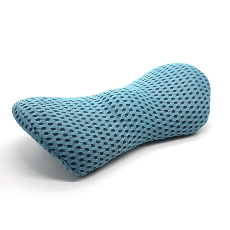 Zarii™ Premium Lumbar Support