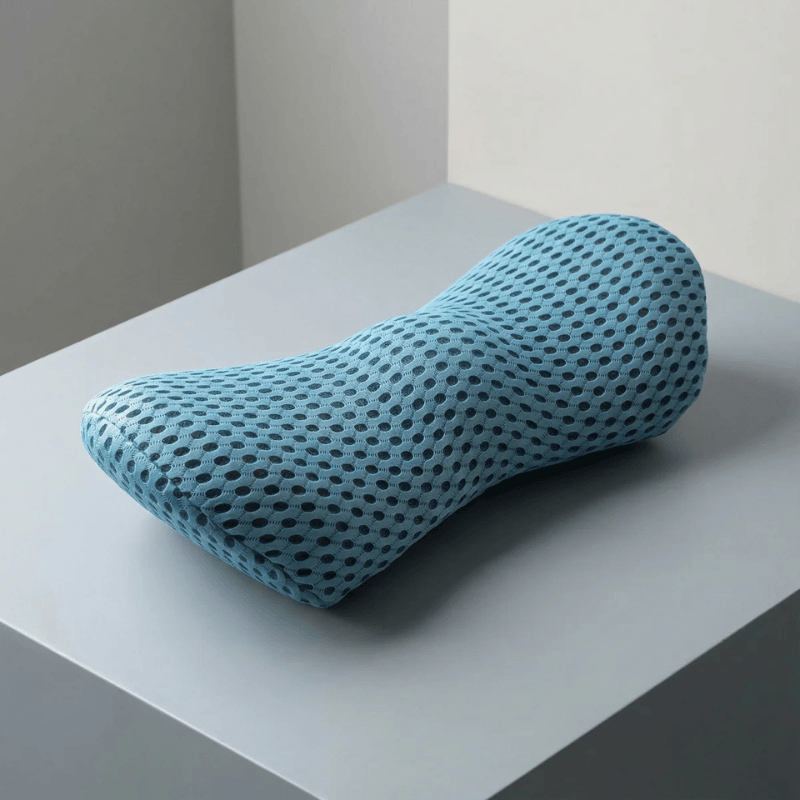 Zarii™ Premium Lumbar Support